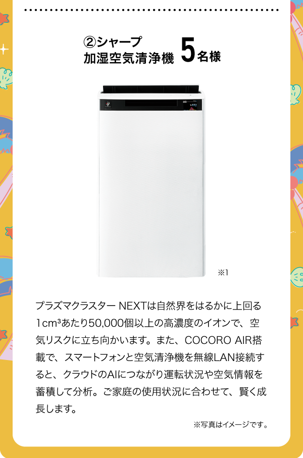 Aコース