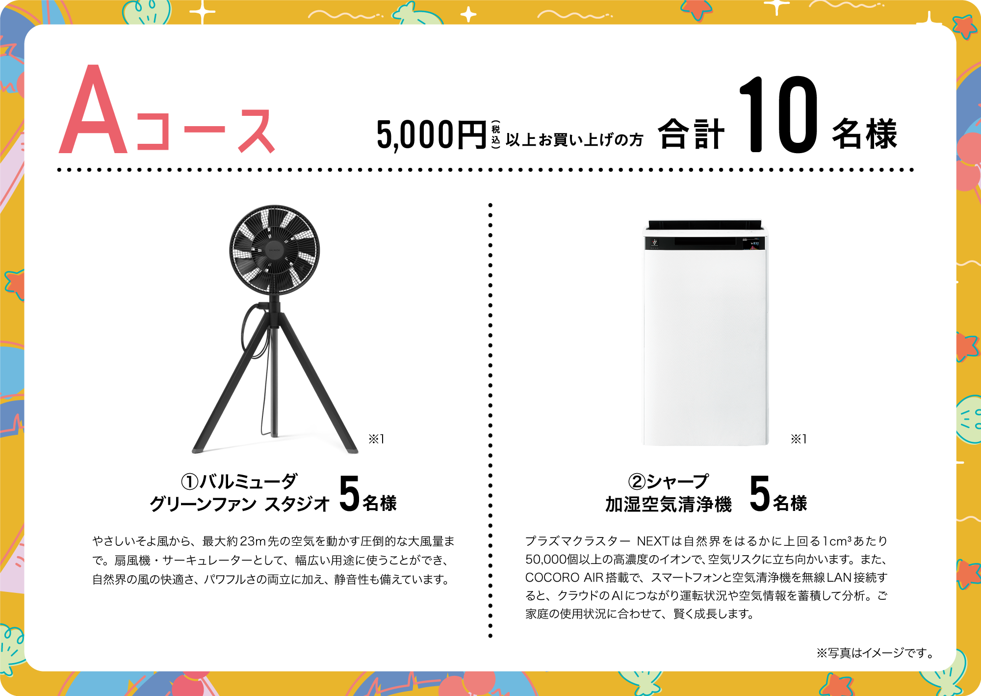 Aコース