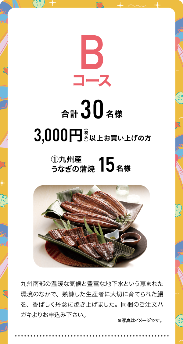 Bコース