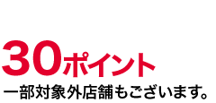 30ポイント