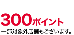 300ポイント