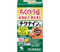 チクナイン写真