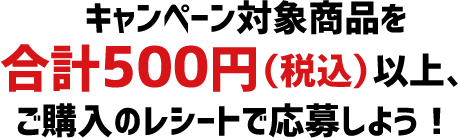 キャンペーン対象商品を合計500円（税込）以上、ご購入のレシートで応募しよう！