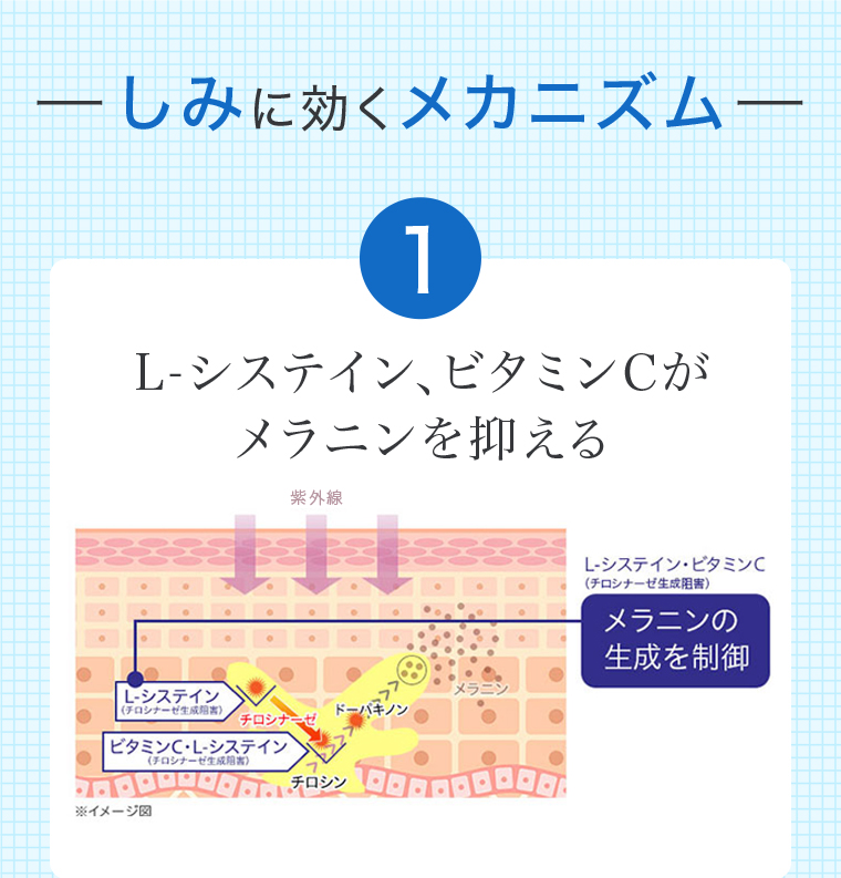 -しみに効くメカニズムー １L-システイン、ビタミンCがメラニンを抑える