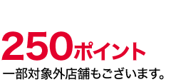 250ポイント