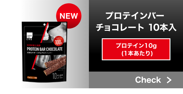 プロテインバーチョコレート 10本入
