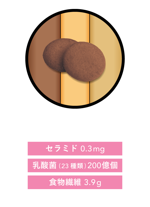 Beau Dolce（ボウドルチェ）ビスケットココア セラミド 0.3mg/乳酸菌(23種類)200億個/食物繊維 3.9g（42gあたり）