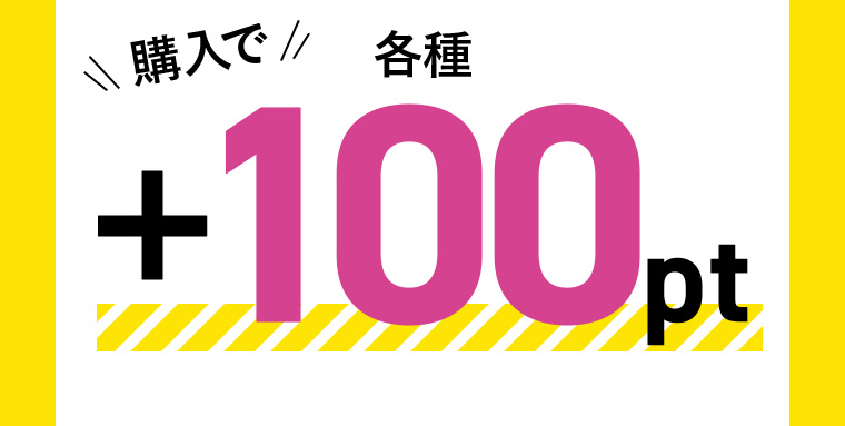 各種購入で+100pt