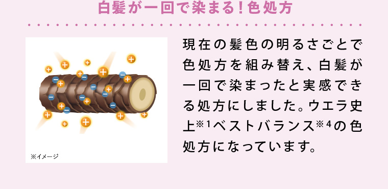 白髪が一回で染まる！色処方 現在の髪色の明るさごとで色処方を組み替え、白髪が一回で染まったと実感できる処方にしました。ウエラ史上※1ベストバランス※4の色処方になっています。