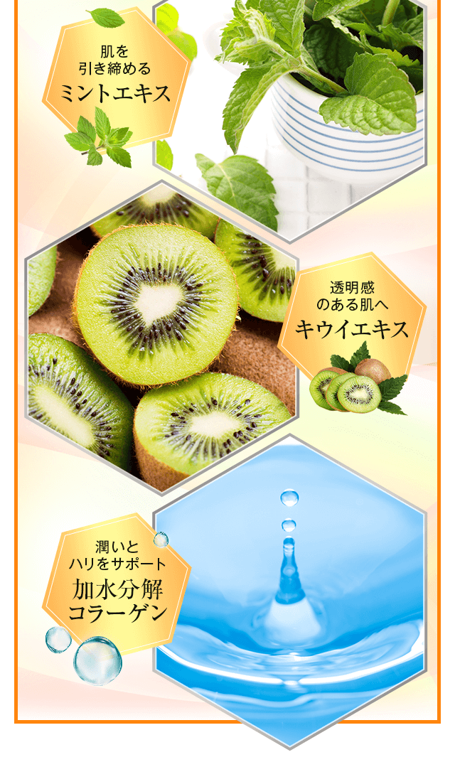 加水分解コラーゲン