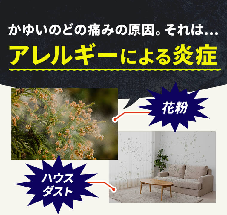 かゆいのどの痛みの原因。それは...アレルギーによる炎症「花粉」「ハウスダスト」