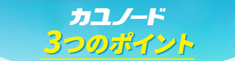 カユノード3つのポイント