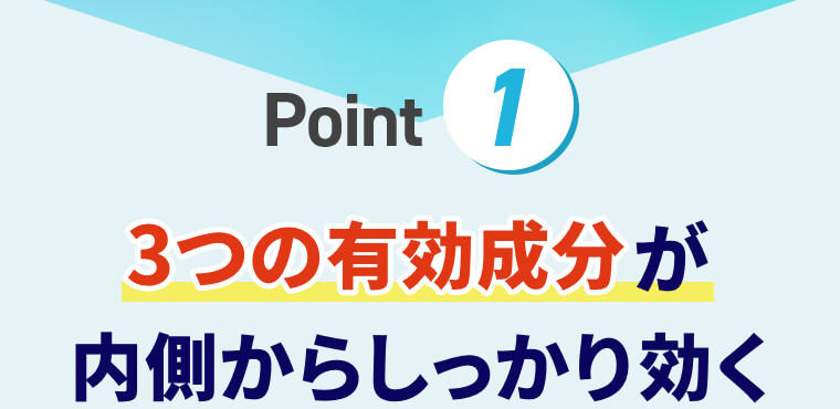 Point① 3つの有効成分が内側からしっかり効く