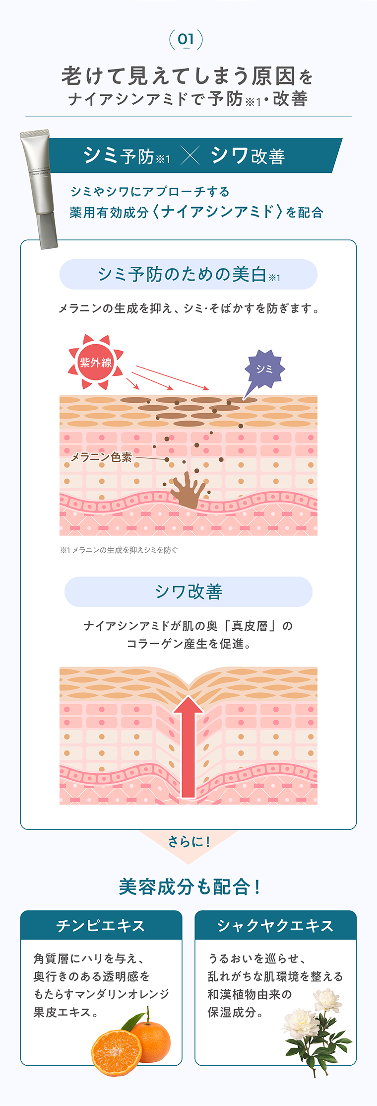 老けて見えてしまう原因をナイアシンアミドで予防・改善