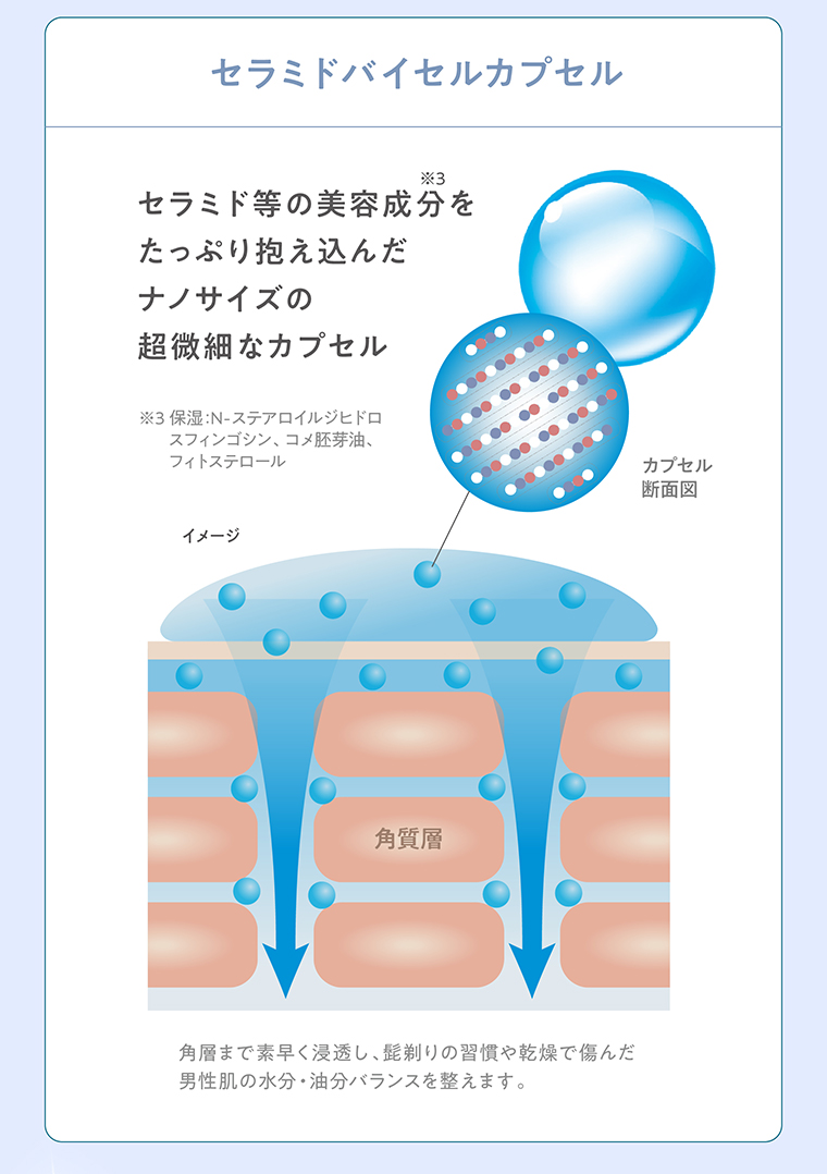 セラミドバイセルカプセル セラミド等の美容成分をたっぷり抱え込んだナノサイズの超微細なカプセル