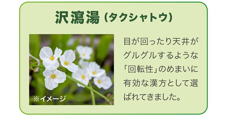 【沢瀉湯タクシャトウ】目が回ったり天井がグルグルするような「回転性」のめまいに有効な漢方として選ばれてきました。