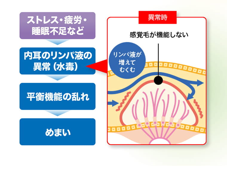 【異常時】感覚毛が機能しない。