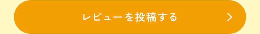 レビューを投稿する