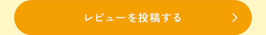 レビューを投稿する