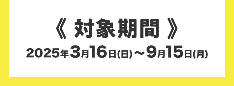 対象期間