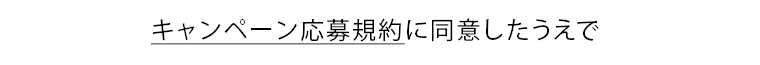 キャンペーン応募規約に同意したうえで