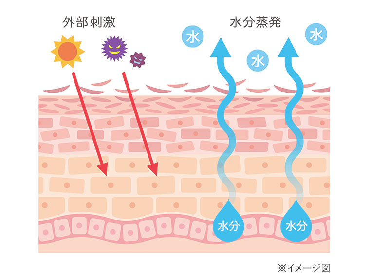 イメージ図