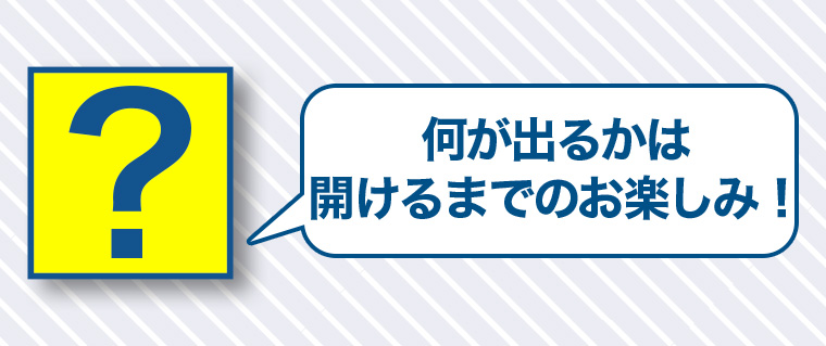 何が出るかは開けるまでのお楽しみ!
